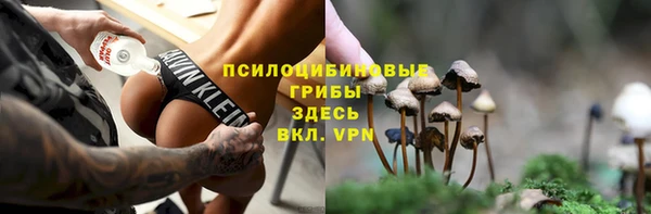 спайс Баксан