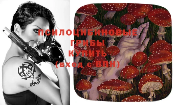дмт Белоозёрский